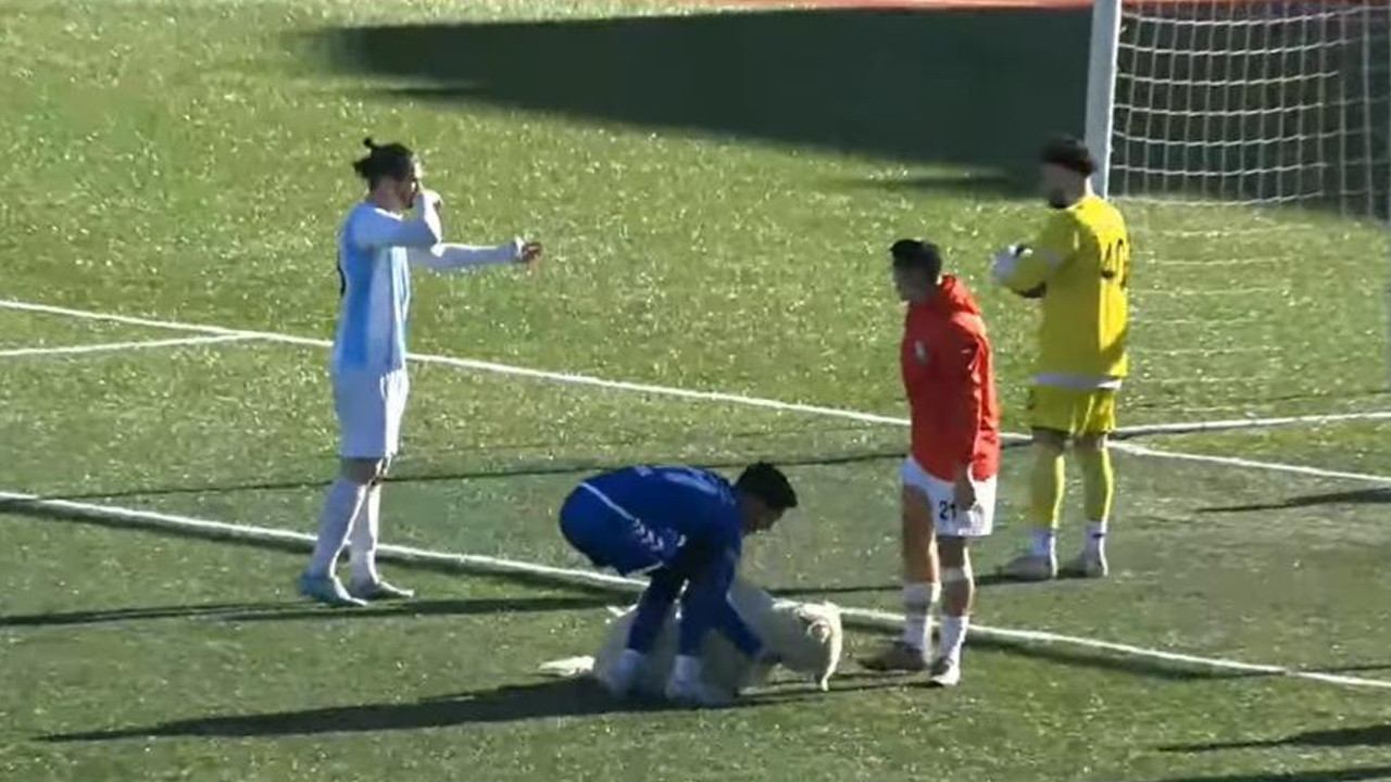 Sahaya giren köpek ceza sahası içinde yerde kaldı