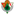Cacereno