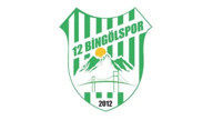 12 Bingölspor