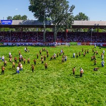 664. Tarihi Kırkpınar Yağlı Güreşleri başladı