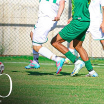 Şanlıurfaspor, Bursaspor'dan özür diledi