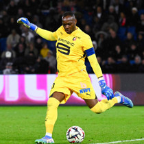 Fransız kaleci Steve Mandanda kariyerine son verdi