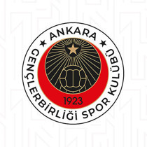 Gençlerbirliği yönetim kurulunda görev dağılımı yapıldı