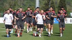A Milli Takım'da 3 futbolcu kadrodan çıkarıldı! Ahmet Kutucu davet edildi