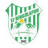 12 Bingölspor