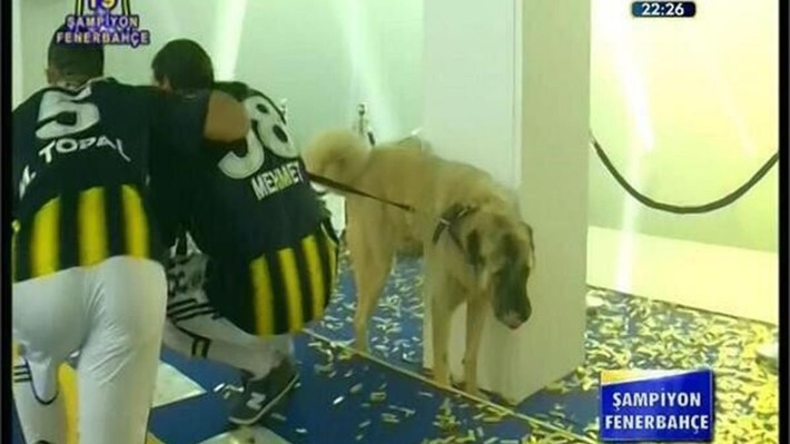 Şampiyonluk kutlamasına böyle çıktı! En son Fenerbahçe'de Mehmet Topal yapmıştı - Resim: 9