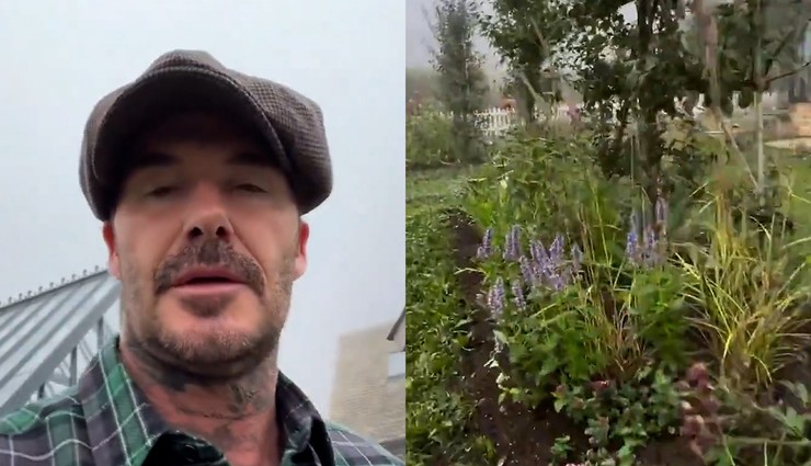 David Beckham, çiftliğinde organik tarım yapıyor