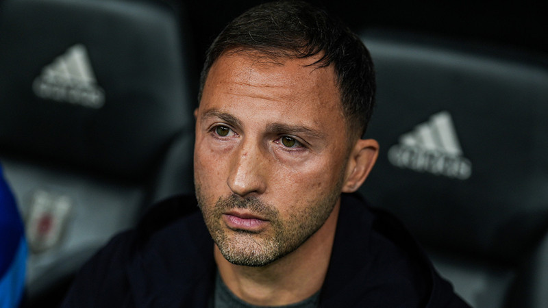 Fenerbahçe'de Tedesco farkı! İşte kısa sürede başarıyı getiren etkenler