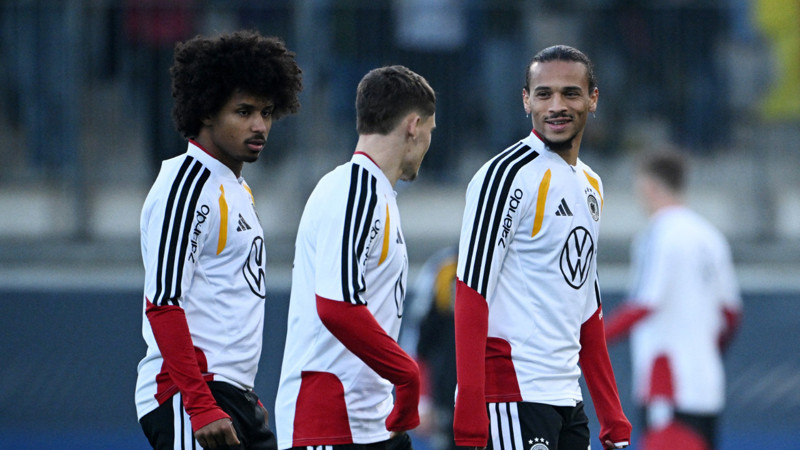 Muşta ve elektroşok silahı taşıdığı için para cezası aldı